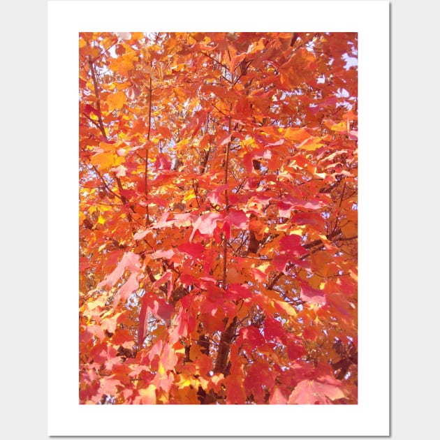 Red Autumn Leaves Wall Art by JadedAlice